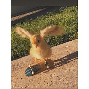 Meet your Posher, Mario